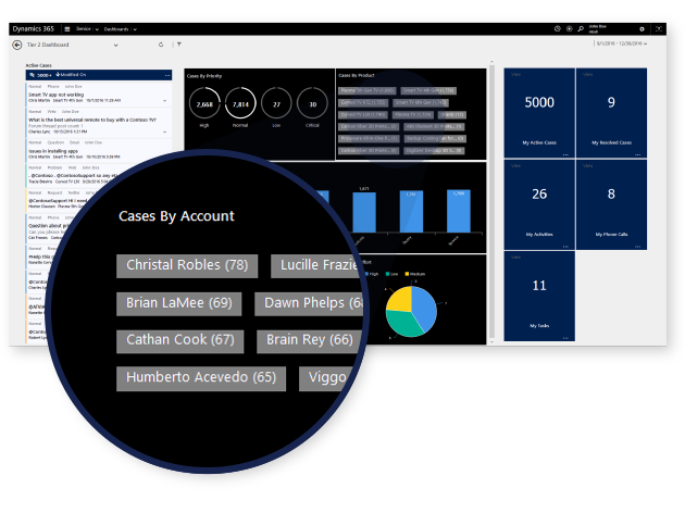 Dynamics Customer Service 2